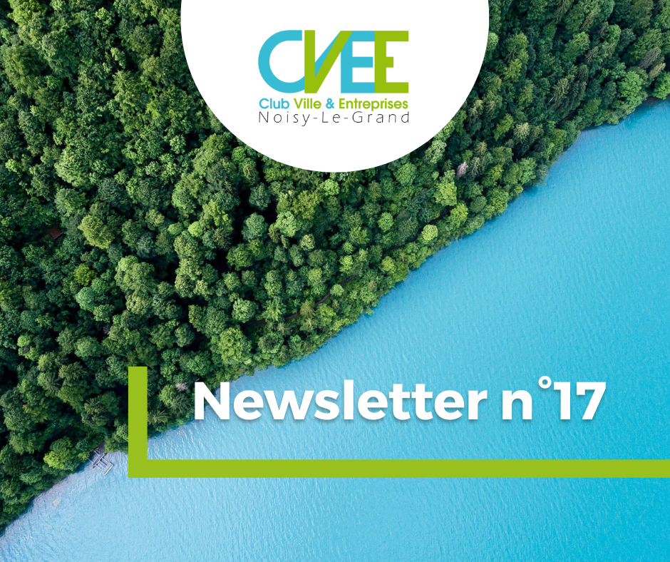 CVEE - NEWSLETTER N°17